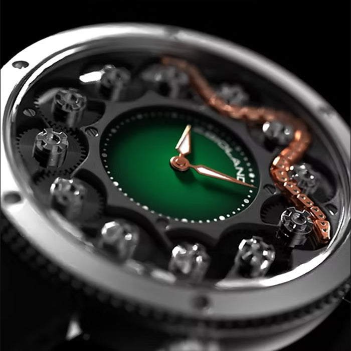 Zbioland Snake Series Black Snake Swiss Sellita Movement Automatic Watch